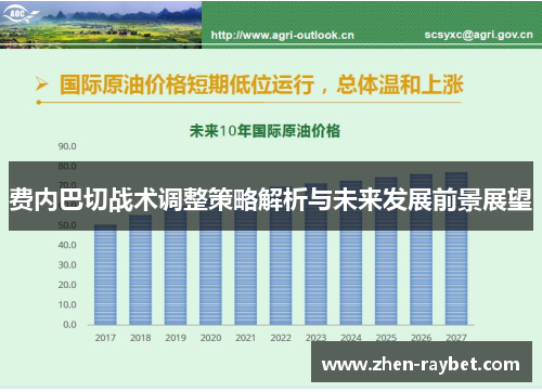 费内巴切战术调整策略解析与未来发展前景展望