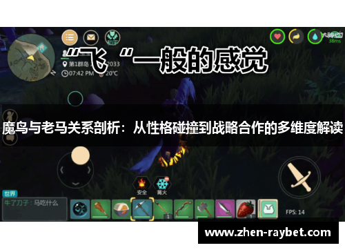 魔鸟与老马关系剖析：从性格碰撞到战略合作的多维度解读